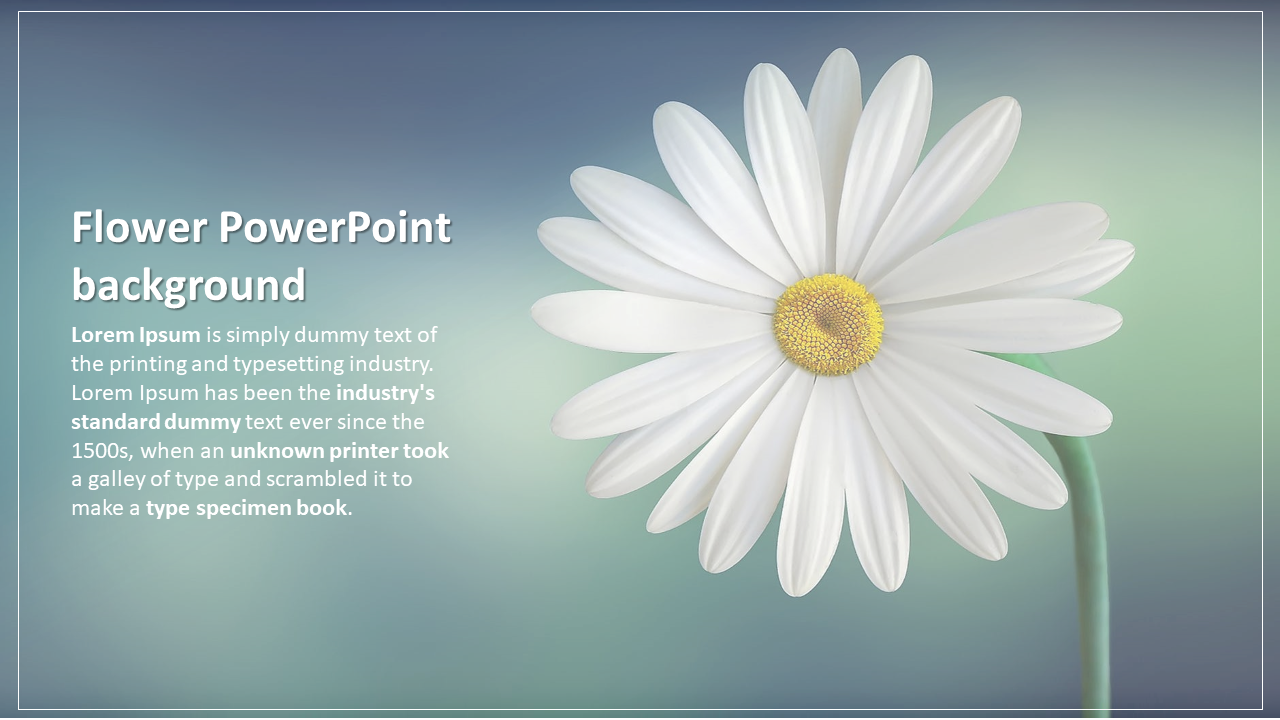 Colorful And Editable Flower PowerPoint Background Designs	